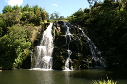 owharoa falls